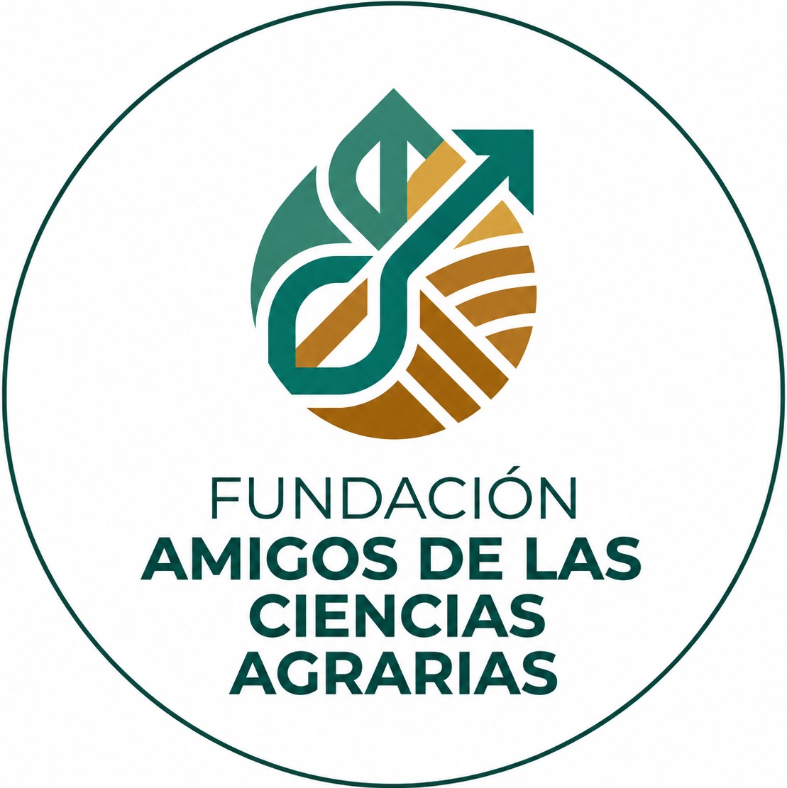 Logo Fundación